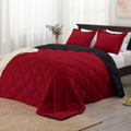 Queen Comforter Set – Reversible Red & Black All-Season Bedding with 2 Pillow Shams